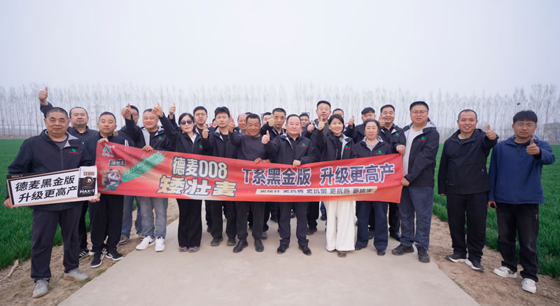 黑金领航 财富共创丨德麦008T系黑金版发布会暨高产推广启动会圆满举办