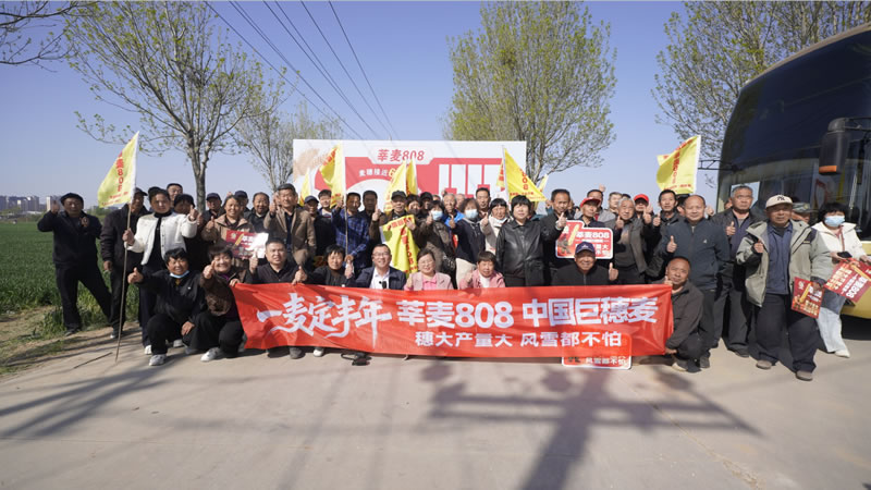 莘麦808辛集市场启动会