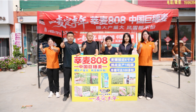 莘麦808门店丰收行临清张官屯站人气爆棚，万众抢购莘麦808王牌良种！